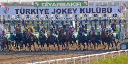 Diyarbakır yarışlarında 2. 6’lı Ganyan, 32 TL'ye 806.607 TL kazandırdı