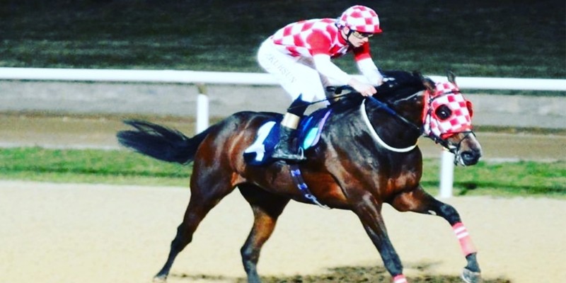 KING OF THE SUN, 2021 Aşım Sezonunda Duran Harası'nda Yetiştiricilerin Hizmetinde