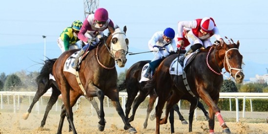 A-Koşusunda LUCKY JUSTEN, SEA BREEZE, AŞAN BABA mücadelesi nefesleri kesti.