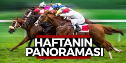 01.01.2020 - 13.12.2020 Tarihleri Arası Türkiye Geneli Jokey - Apranti - Aygır İstatistikleri
