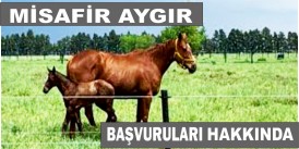 TJK MİSAFİR AYGIR BAŞVURULARI HAKKINDA