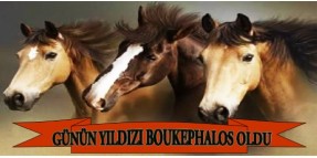 Günün Yıldızı BOUKEPHALOS gerçek bir uzun mesafe atıdır. Pazar maiden analizi yapıldı