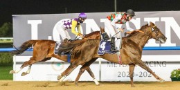 Dubai World Cup Karnavalı’nda 1. gün koşuları tamamlandı