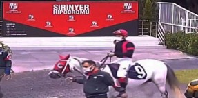 12 Şubat Cuma günü İzmir'de SATIŞ-2 koşusunda bir safkan el değiştirdi.