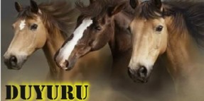 Seyis Eğitim Kursu Ön Müracaat Duyurusu