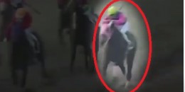 Japonya. Bu Atın İsmine İnanamıyacaksınız