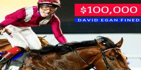 MISHRIFFI Jokeyi DAVID EGAN neden 100.000 dolar para cezası aldı.