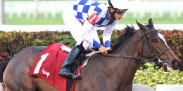 TJK Aygırı Bodemeister temsilcisi Wholebodemeister G2 Davona Dale Stakes’i kazandı