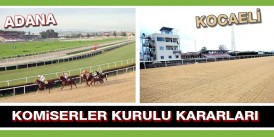 Alican İnci, 14 gün at binmeme cezası aldı, A.Sözen ve M.Turan süre haklarını kullanmak istediler