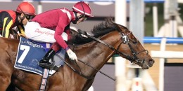 G1 Dubai Sheema Classic nefesleri kesti