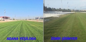Adana İzmir'de Çim Yarışları Başlıyor
