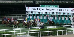 Adana Satış Koşusunda bir safkan el değiştirdi.