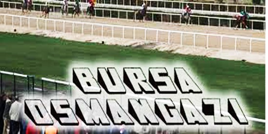 REACH OF VICTORY Günün beş yıldızı oldu.Bursa Tay Analizi yapıldı