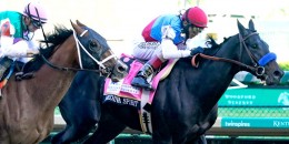 147 Kentucky Derby'i MEDINA SPIRIT kazandı. Bob Boffert Derby tarihinin en iyi antrenörü oldu.