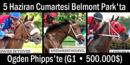 5 Haziran Cumartesi Belmont Park'ta Ogden Phipps'te (G1 • 500.000$) TJK aygırlarından DAREDEVIL’in 2, SUPER SAVER'in ise 1 yavrusu koşacaktır