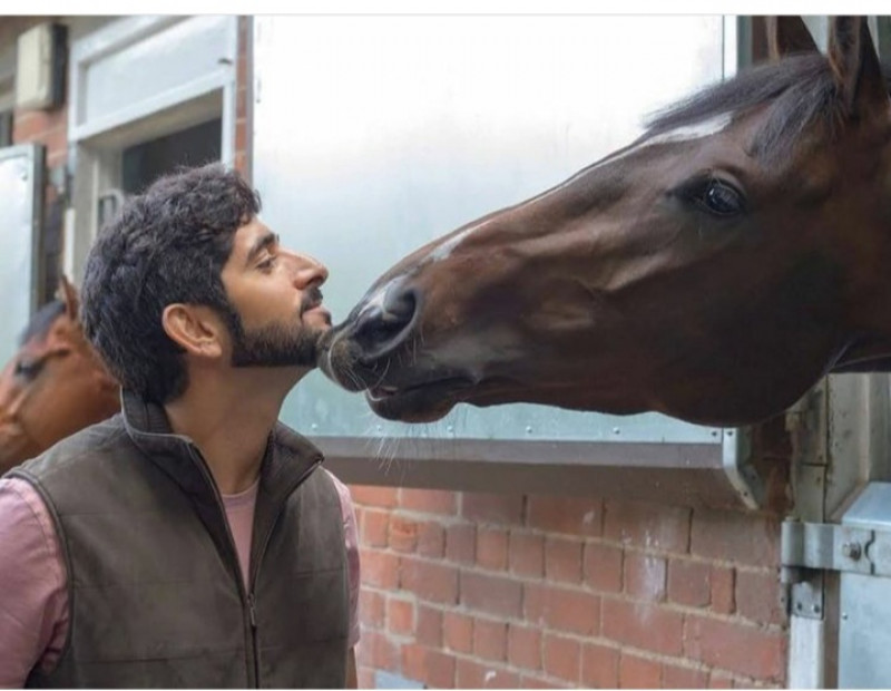Muhammed bin Reshid Al Maktoum bir atını severken.