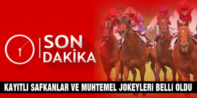 GR-1 ÇANAKKALE ZAFERİ Koşusu'na kayıtlı safkanlar, muhtemel jokeyleri, galop ve performansları