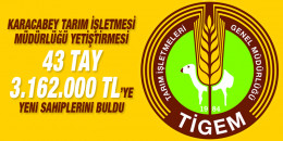 Karacabey Tarım İşletmesi Müdürlüğü yetiştirmesi 43 tay 3.162.000 TL tutarla yeni sahiplerini buldu