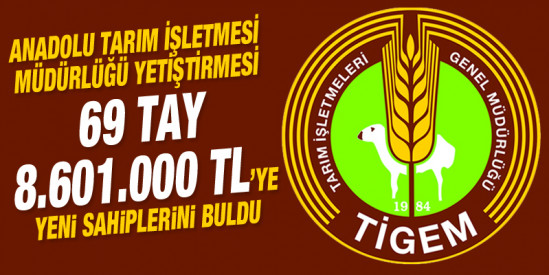 Anadolu Tarım İşletmesi yetiştirmesi Tay Satışı Karacabey'de yapıldı