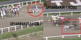 15 Eylül Çarşamba günü Diyarbakır Hipodromu'nda 5.ve 7 koşuda üzücü kazalar oldu