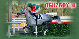 OĞUZBOYLU hayatında iki kez GR-1 Veliefendi Koşusu'nu koştu üst üste ikisini de kazandı