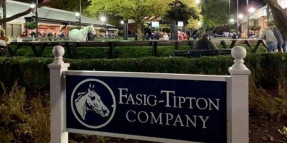 TJK Aygırı DAREDEVİL'in Lane's End Harasında Aşım yaptığı 10 gebe kısrak Fasig-Tipton'da satıldı