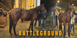 Türkiye Jokey Kulübü aygırı BATTLEGROUND ülkemize geldi