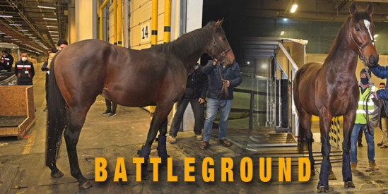 Türkiye Jokey Kulübü aygırı BATTLEGROUND ülkemize geldi