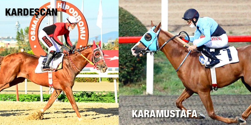 İki şampiyon safkan iki şampiyon jokey İzmir'de kozlarını paylaşacaklar