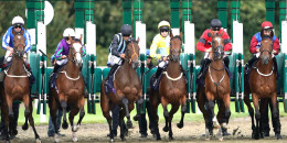 2022 Yılı Yarış Takvimi’nde İngiliz safkanları nasıl tüm koşulara giriyorsa artık Arap atları da girecektir.
