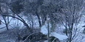 25 Ocak Salı günü Antalya Hipodromu Döşemaltı kar altında
