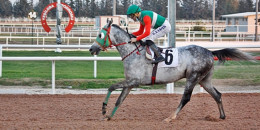 OĞUZBOYLU H.Karataş ile hareketli şiir gibi koşuyor