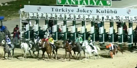 16 Mart Çarşamba Antalya yarışlarında atlardan düşen jokeyler var
