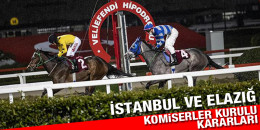 13 Nisan Çarşamba günü İstanbul ve Elazığ yarışlarına ait Komiserler Kurulu Kararları