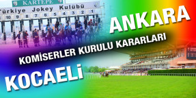Müslüm Çelik ve Ayhan Kurşun at binmeme cezası aldı, 24 Mayıs Salı Ankara - Kocaeli Komiserler Kurulu Raporları