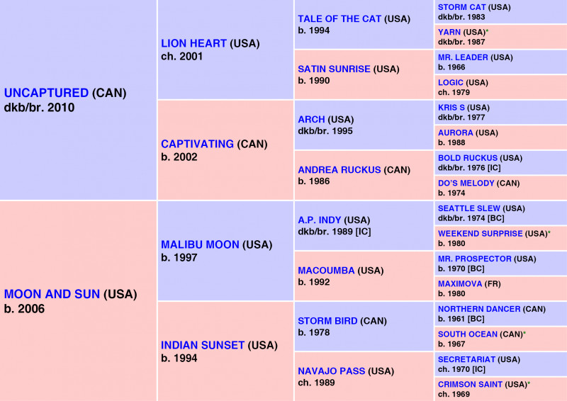LIGHTENING LARRY   (USA) ch. C, 2019 {8-c} DP = 3-4-7-0-0 (14) DI = 3.00   CD = 0.71 - 9 Starts, 4 Wins, 4 Places, 0 Shows Career Earnings: $305,610