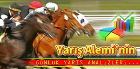 7.Temmuz Perşembe günü Ankara'da gerçekleştirilecek olan 6. 7. ve 8. koşuların analizleri yapıldı.
