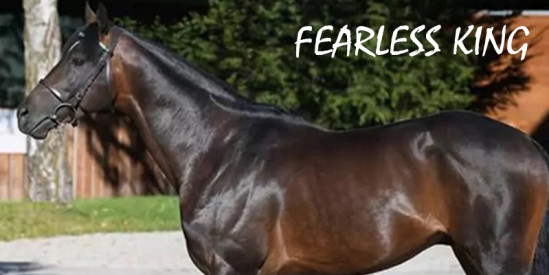 FEARLESS KING yakında Türkiye’de!