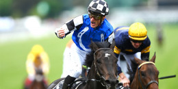 2022 Melbourne Cup'ı GOLD TRIP kazandı. Atın ilgilileri sevinç çığlıkları attılar.