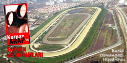 HEP BİRİNCİ ve GENERAL BRIELLA zevkli yarış programının tekleri / BURSA / Kurnaz ARAP