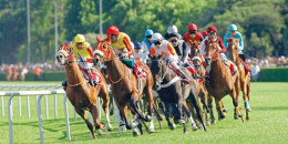 Yurt içi At Yarışları 18 Şubat Cumartesi günü tekrar başlıyor