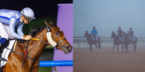 Dubai Meydan Hipodromu'nda haftanın atı MIMI KAKUSHI oldu, idmanlara sisli güzel bir sabah