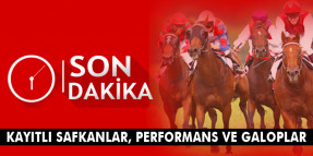 Hafta sonu Ankara ve İstanbul'daki GRUP Koşularının kayıtları, performans ve galopları