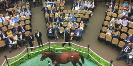 Fasig-Tipton Satışlarında 4 Milyon dolara at satıldı.