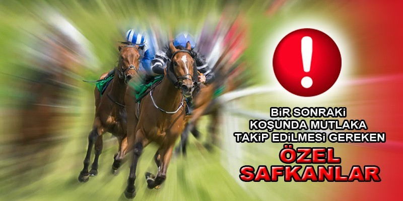 26 Ağustos Cumartesi Ankara ve İzmir yarışlarında bir sonraki koşularında takip edilmesi gereken safkanlar