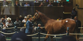 Keeneland’da açık artırmada Milyon Dolarlara satılan Atlar