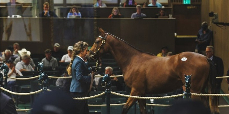 Keeneland’da açık artırmada Milyon Dolarlara satılan Atlar