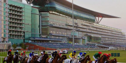 Dubai At Yarışlarında 2024 yılında kurallar ve ikramiyeler klasik koşularda artıyor
