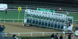 At Yarışı Gazeteleriniz LİDERFORM ve GÜNCEL'den Takipçilerine 4.116,00 TL'lik Adana Altılıları
