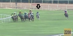 BABA FADIL AGF'de %23 (1) at olurken 12 atta jokeyi H.Çizik ile neden yarışı sonuncu tamamladı.